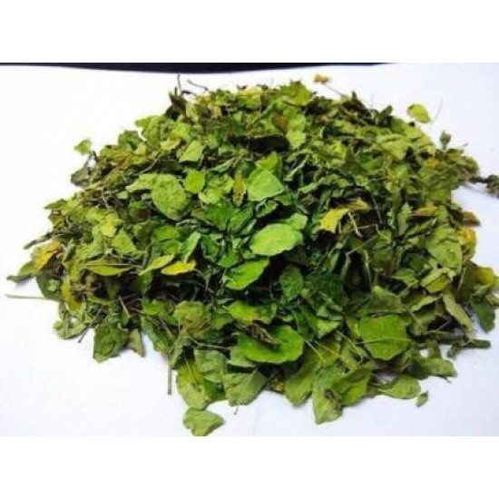 Organicgreen Herb Moringa leaves