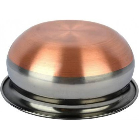 RBGIIT Pack of 10 Stainless Steel Stainless Steel Copper