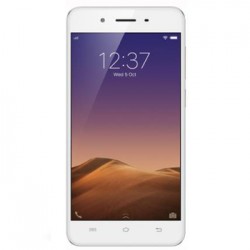 vivo Y55L (Gold, 16 GB)