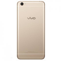 vivo Y55S (Crown Gold, 16 GB)  (3 GB RAM)