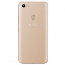 vivo Y81 (Gold, 32 GB)  (3 GB RAM)