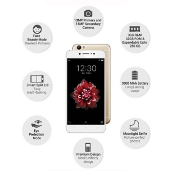 vivo Y66 (Crown Gold, 32 GB)  (3 GB RAM)