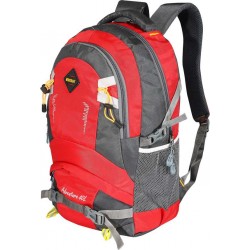 Large 40 L Laptop Backpack Walker Backapck Red  (Red)